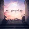 Je t'emmène - Single album lyrics, reviews, download