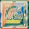 Winds of Worship, Vol. 6 (Live from Southern California) album lyrics, reviews, download