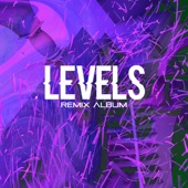 Levels (The Remixes) artwork