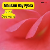 Mausam Hay Pyara artwork