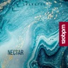 Nectar - Single