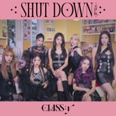 SHUT DOWN (JP Ver.) artwork