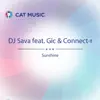 Sunshine (Treitl Hammond Mix) [feat. GIC & Connect-R] - Single album lyrics, reviews, download