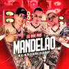 Stream & download Eu Vou pro Mandelão - Single