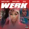 Werk (feat. Spice & Capella Grey) - Single album lyrics, reviews, download