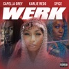 Werk (feat. Spice & Capella Grey) - Single