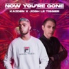 Now You're Gone - Single