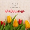 Watanionaje - Single