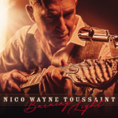 Burning Light - Nico Wayne Toussaint