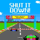 Shut It Down (Extended Version) artwork