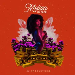 Meliza - Single by DJ Flex album reviews, ratings, credits