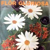 Flor Gloriosa