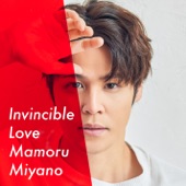 Invincible Love artwork