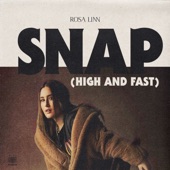 SNAP (High and Fast) artwork