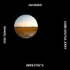 Inevitable (Remixes) - Single