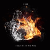 Drowning in the Fire artwork