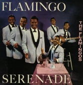 Flamingo Serenade artwork