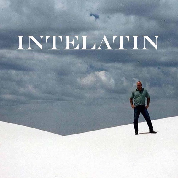 Intelatin, an Independent Public Library cover