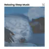 Relaxing Sleep Music album lyrics, reviews, download