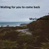 Waiting for You to Come Back - Single album lyrics, reviews, download