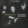 Nobody Knows: The Best of Paul Brady, 2010