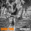 Anthology - Skung Yung