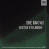 Sektor Evolution - Single