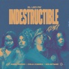 Indestructible (Remix) [feat. Anmily Brown, Oveja Cosmica, Ada Betsabe] - Single