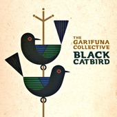 Black Catbird - Single