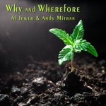 Al Jewer & Andy Mitran - Why and Wherefore