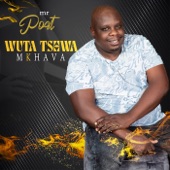 Wuta Tshwa Mkhava artwork