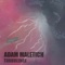 Destiny - Adam Maletich lyrics