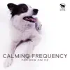 Calming Frequency for Dog 432 Hz album lyrics, reviews, download