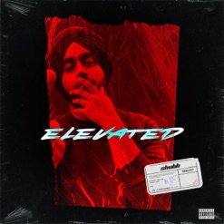 ELEVATED cover art