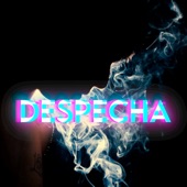 Despecha (Instrumental) artwork
