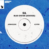 Blue Oyster (Richy Ahmed Extended Remix) artwork