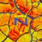 Ntt - Duke lyrics