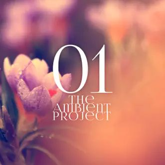 The Ambient Project, Vol. 1 by Various Artists album reviews, ratings, credits