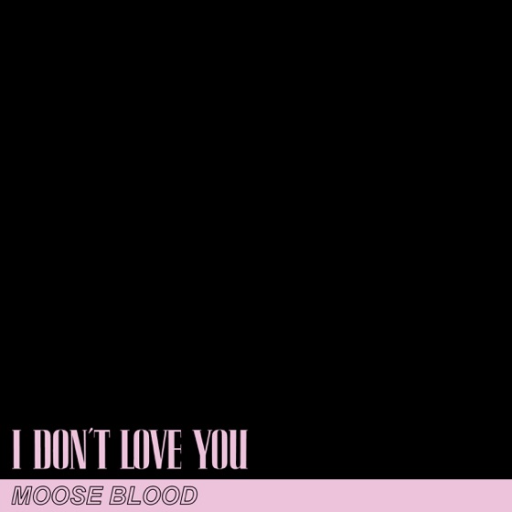 Cover artwork for I Don't Love You