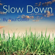 Slow Down - Paul Collier