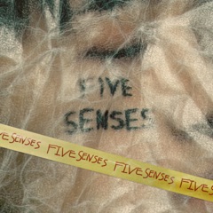 FIVE SENSES