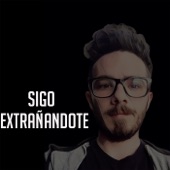 Sigo Extrañandote artwork