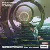 Stream & download Spectrum (Say My Name) - Single