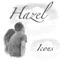 Hazel - Icons lyrics