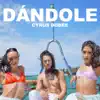 Dandole - Single album lyrics, reviews, download