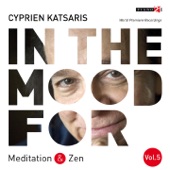 In the Mood for Meditation & Zen, Vol. 5: Händel, Gluck, Beethoven, Liszt, Grieg, Debussy... (Classical Piano Hits) artwork