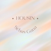 Housin artwork