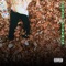 JESSE PINKMAN - Letky lyrics