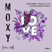 Summer of Love (Jansons Remix) artwork