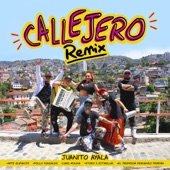 Callejero (feat. Caro Molina & Vitoko 5 Estrellas) [Remix] artwork